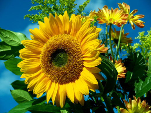 428816 (a): :1600x1200